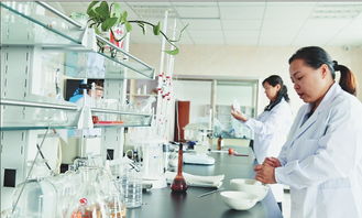 玉米芯变废为宝 生物技术的绿色革新之路